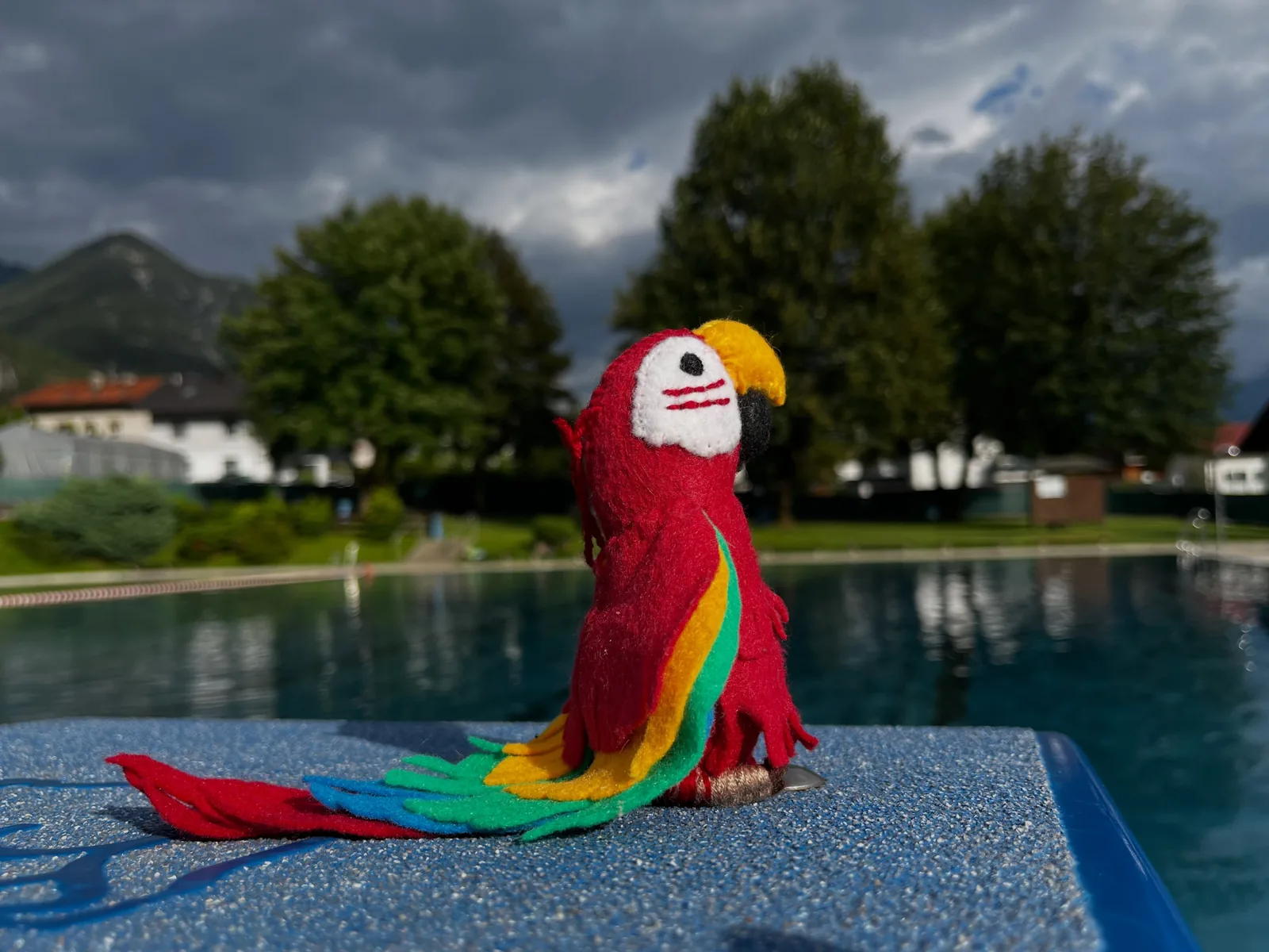 Der Filzpapagei von Rosalinda sitzt auf einem Beckenmodell.